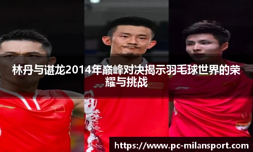 林丹与谌龙2014年巅峰对决揭示羽毛球世界的荣耀与挑战